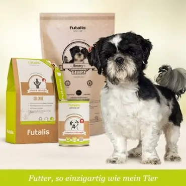 Welches Futter für Shih Tzu?