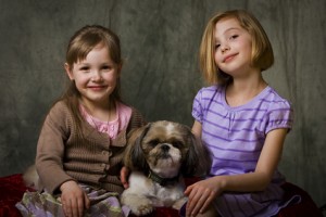 Kinder mögen Shih Tzu Hunde.