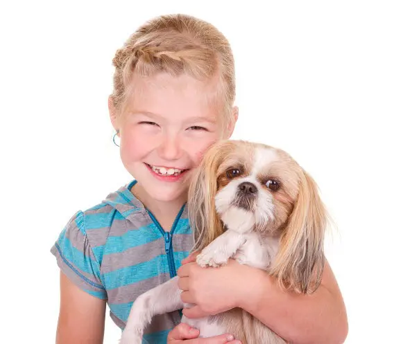 Kleiner Junge mit Shih Tzu