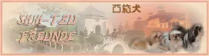 Shih Tzu Forum - Shih Tzu Freunde