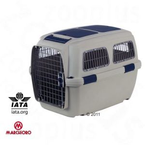 Flugbox Shih Tzu IATA