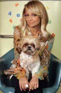 VIP-Shih-Tzu