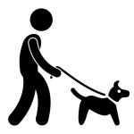 Mit Shih Tzu spazieren gehen