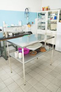 OP Krankenversicherung Shih Tzu