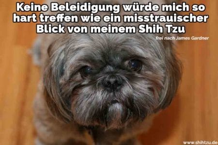 Shih Tzu Zitate und Sprüche Shih Tzu