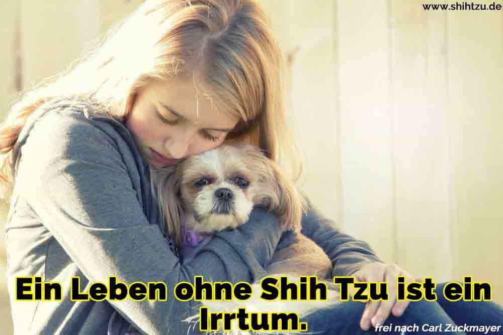 Ein Mädchen umarmt ihren Shih Tzu