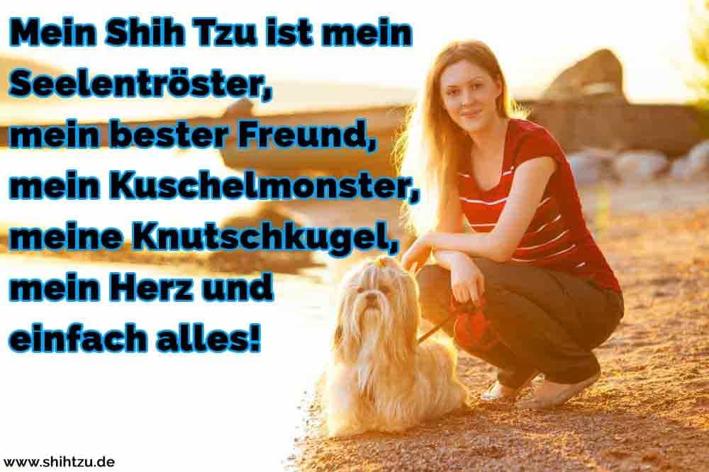 Bester freund zitate Spruch Für