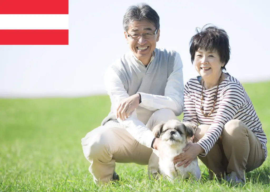 Shih Tzu Züchter mit Welpen Österreich