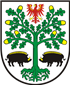 Beste Shih Tzus Züchter in der Nähe von Eberswalde und Umgebung.