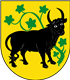 Beste Shih Tzus Züchter in der Nähe von Güstrow und Umgebung.