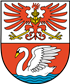 Beste Shih Tzus Züchter in der Nähe von Prenzlau und Umgebung.