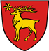 Beste Shih Tzus Züchter in der Nähe von Sigmaringen und Umgebung.